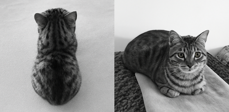 miniloaf
